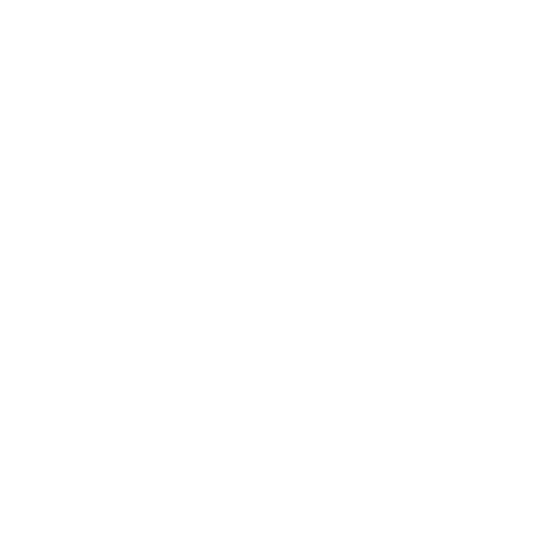 security-payment